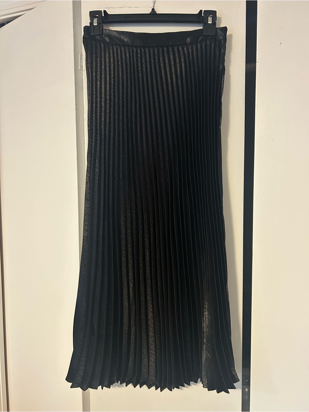 Express Pleated Maxi Skirt